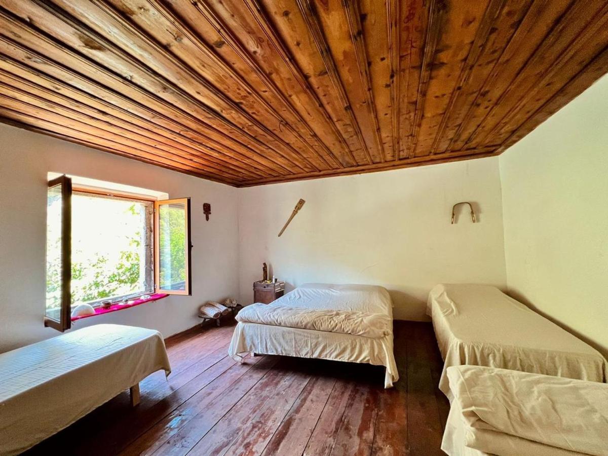 Neomalsore Agrotourism, Komani Lake Hotel Екстериор снимка