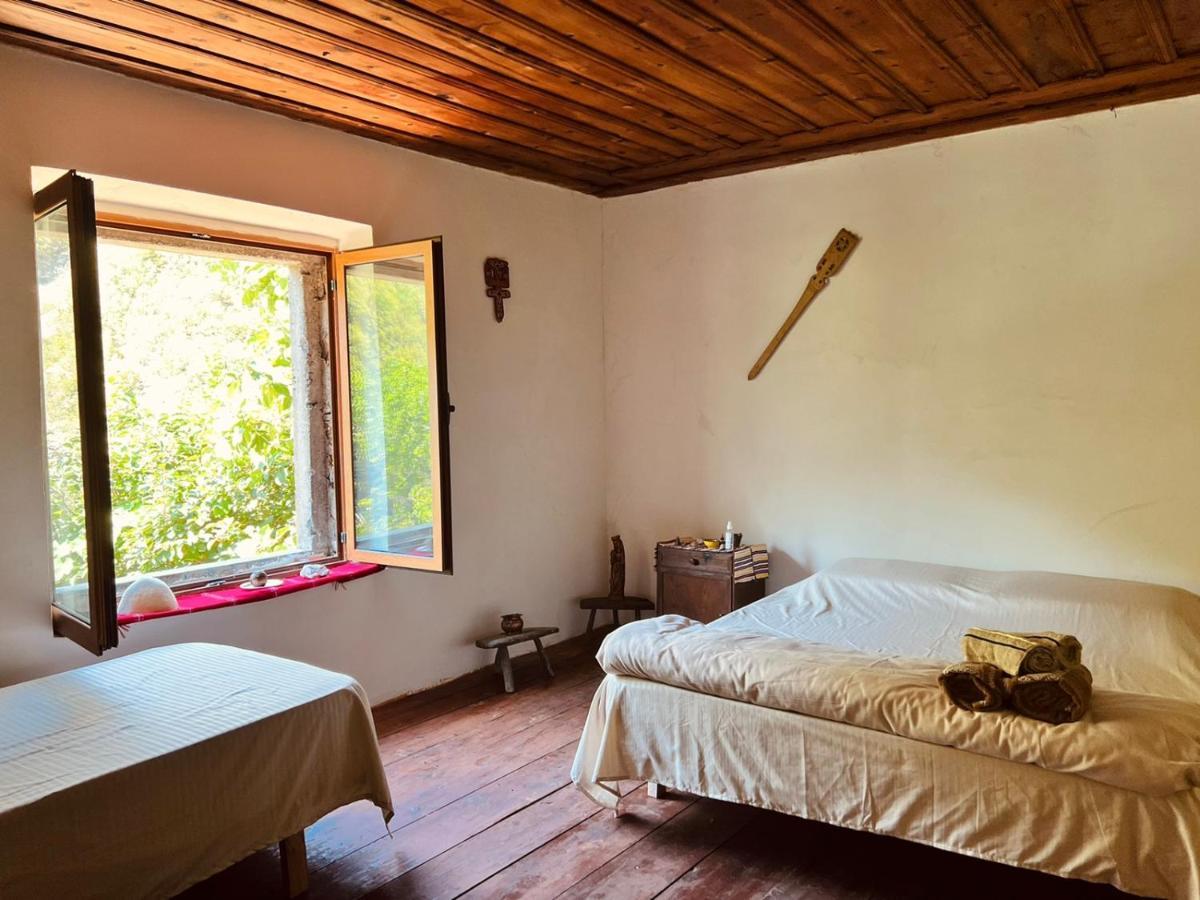 Neomalsore Agrotourism, Komani Lake Hotel Екстериор снимка