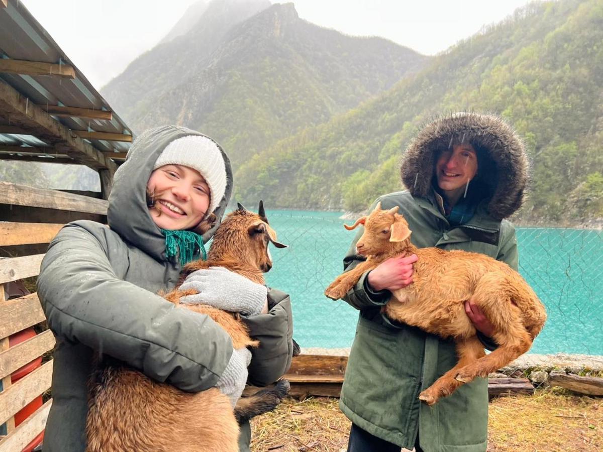 Neomalsore Agrotourism, Komani Lake Hotel Екстериор снимка