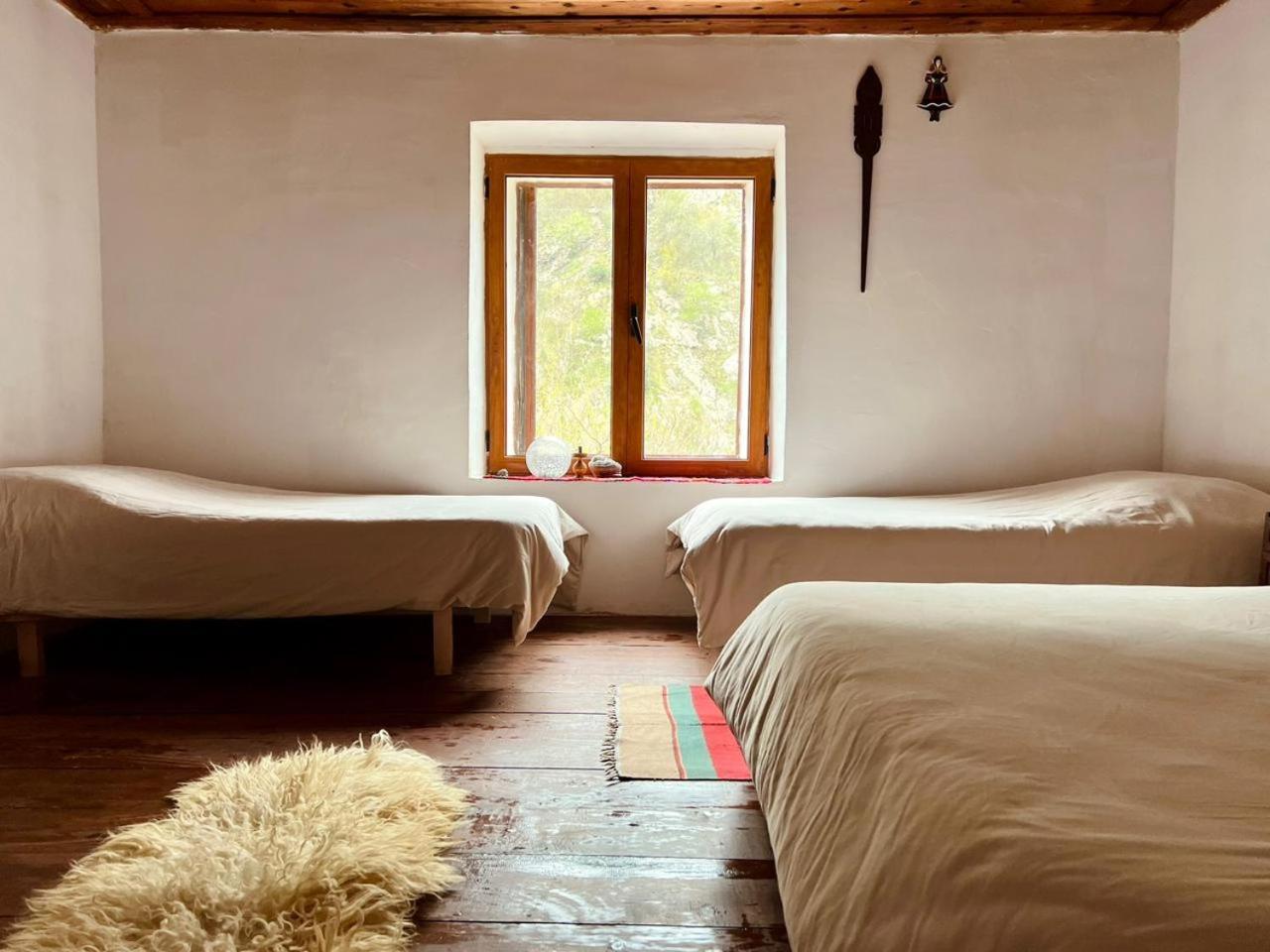 Neomalsore Agrotourism, Komani Lake Hotel Екстериор снимка
